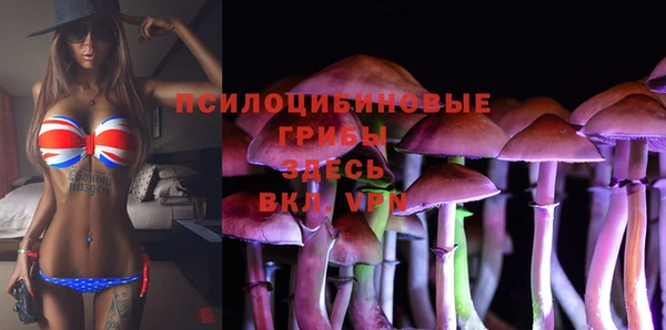 mix Армянск