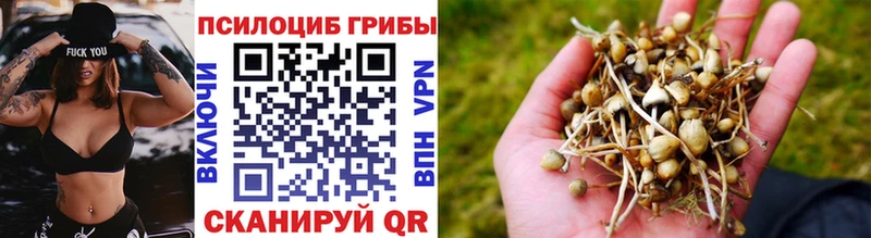 Купить закладки  Усолье  Псилоцибиновые грибы Magic Shrooms 